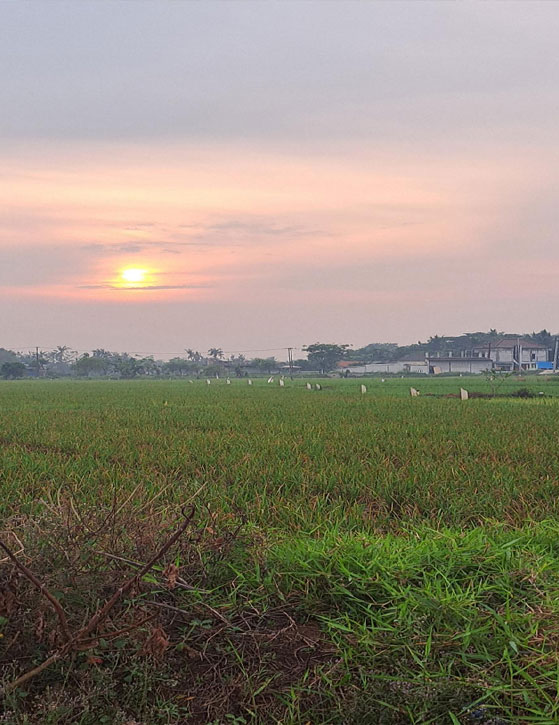 KHET FOODS